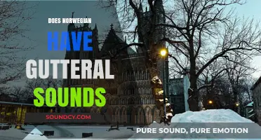 Exploring Norwegian Phonetics: Do Guttural Sounds Exist in the Language?