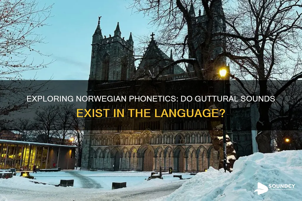 does norwegian have gutteral sounds