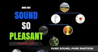 Unpleasant Sounds: Exploring the Science Behind Uncomfortable Auditory Experiences