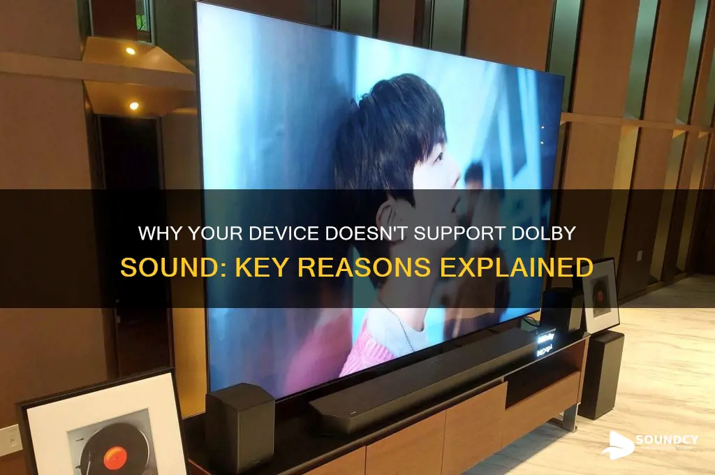 does not support dolby sound