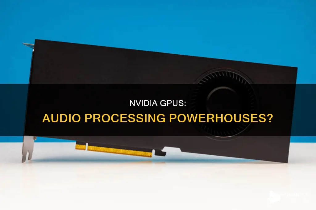 does nvida gpu have a sound