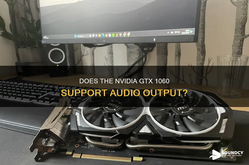 does nvidia 1060 support sound
