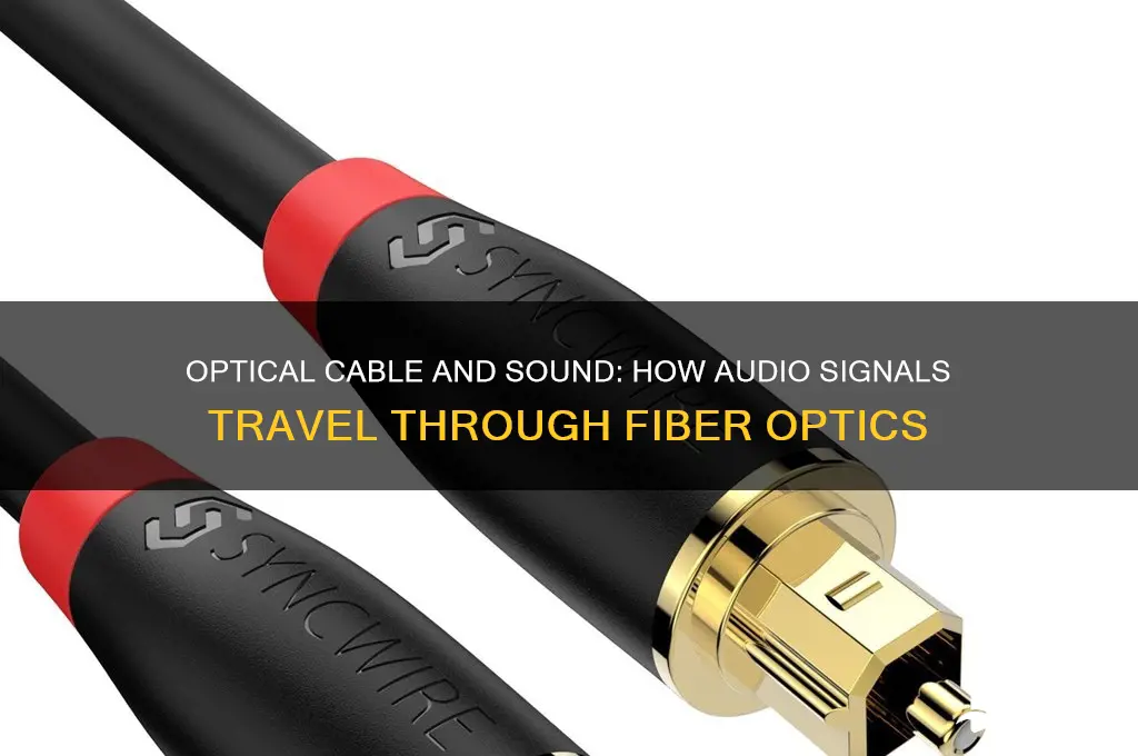 does optical cable carry sound