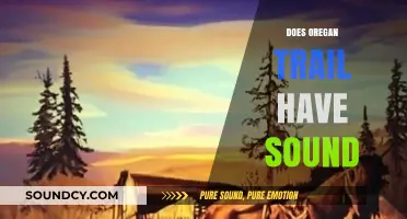 Does The Oregon Trail Game Include Sound Effects or Music?