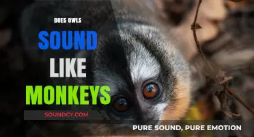 Do Owls Mimic Monkeys? Unraveling the Mystery of Their Unique Calls