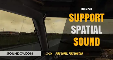 Exploring P3D's Capabilities: Does It Support Spatial Sound Technology?
