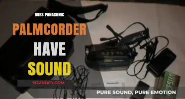 Does the Panasonic Palmcorder Capture Audio? A Sound Check