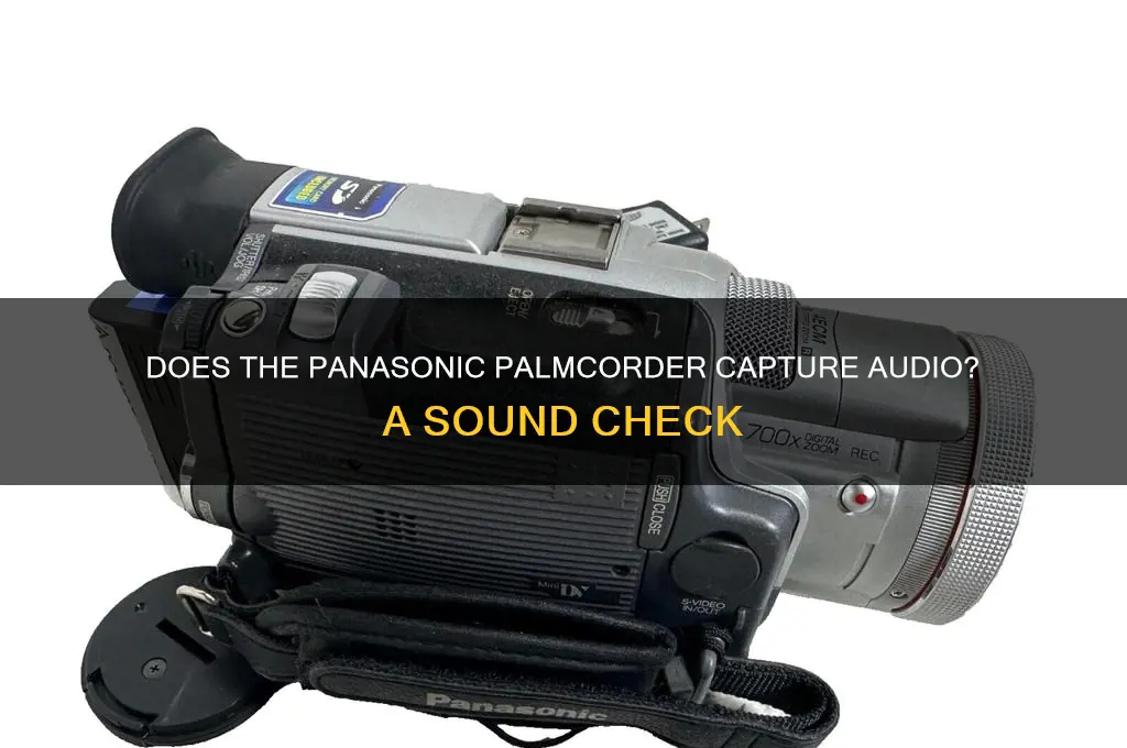 does panasonic palmcorder have sound