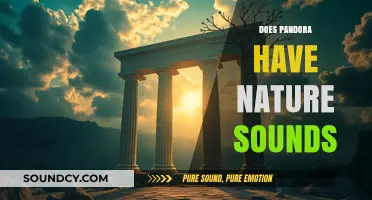 Pandora's Nature Sounds: Exploring Ambient Options for Relaxation and Focus