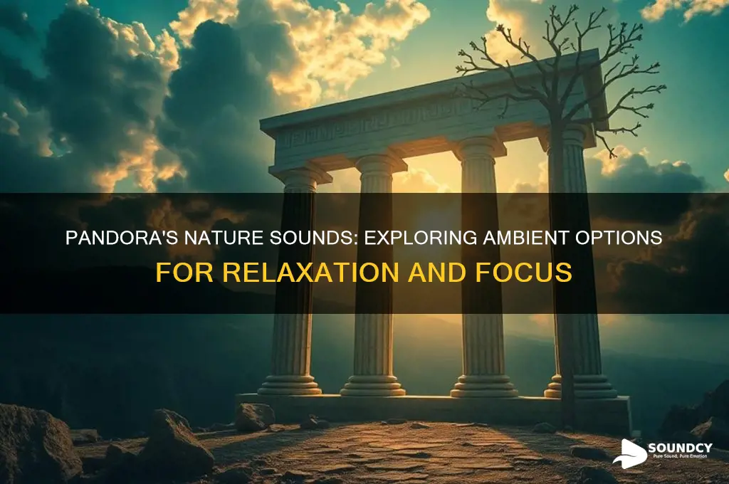 does pandora have nature sounds
