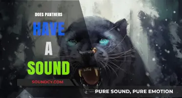 Unveiling the Mystery: Do Panthers Make Distinctive Sounds?