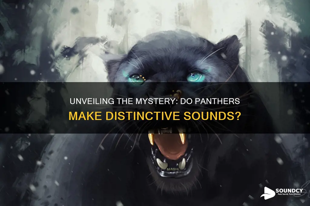 does panthers have a sound