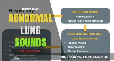 Pulmonary Embolism: Can It Change Your Lung Sounds?