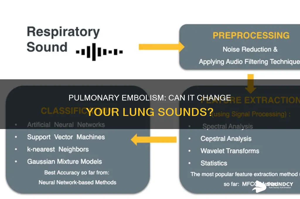 does pe cause abnormal lung sounds