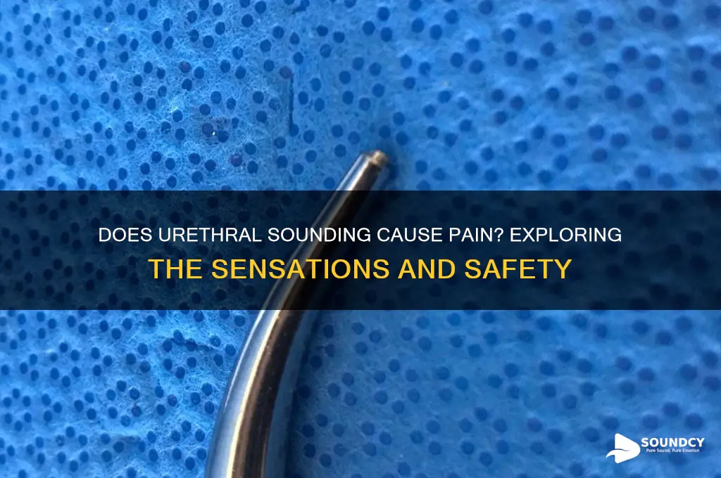 does penis urethra sound hurt