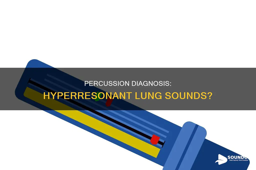 does percussion indicate hyperresonance lung sounds