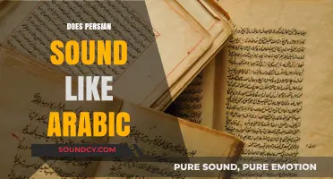 Does Persian Sound Like Arabic? Exploring Linguistic Similarities and Differences