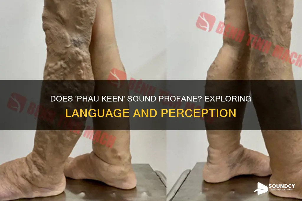 does phau keen sound profany