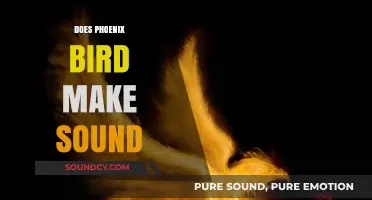 Does the Phoenix Bird Make Sounds? Exploring the Mythical Creature's Voice