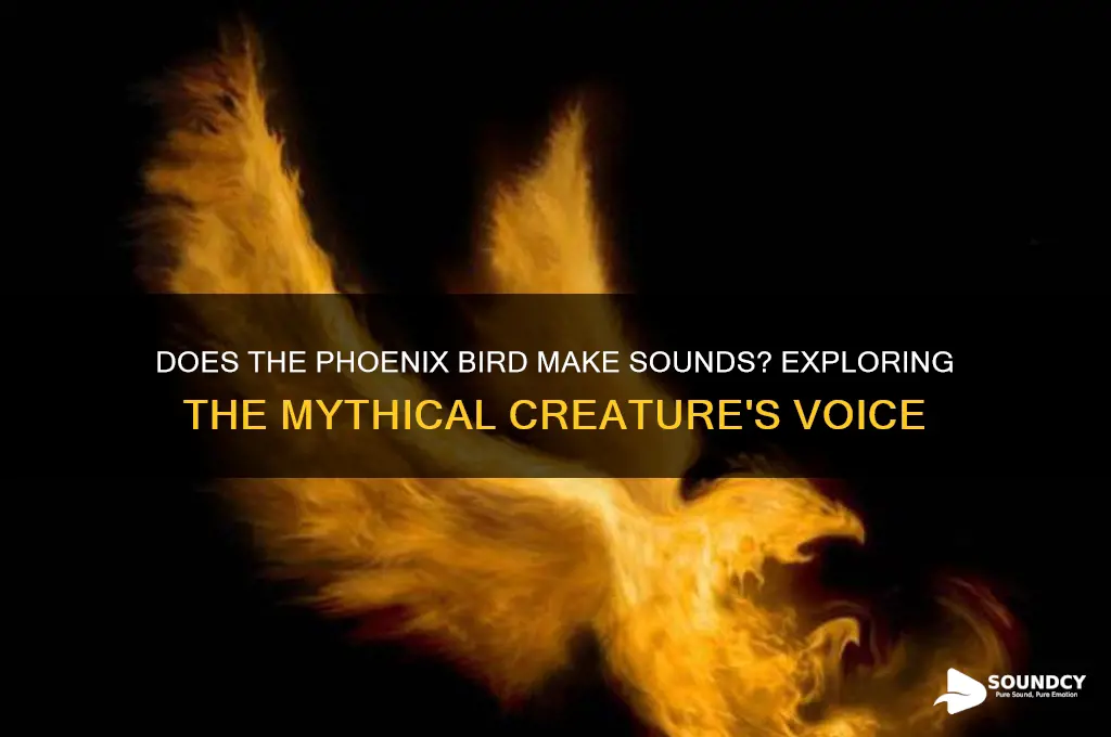 does phoenix bird make sound