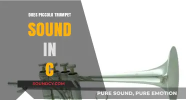 Piccolo Trumpet: A Higher-Pitched Sound in C