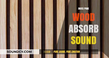 Pine Wood's Acoustic Properties: Does It Absorb Sound Effectively?