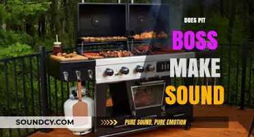 Does Pit Boss Pellet Grill Produce Noise? A Comprehensive Guide
