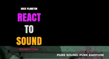 Exploring Plankton's Response to Sound: Unveiling Aquatic Reactions