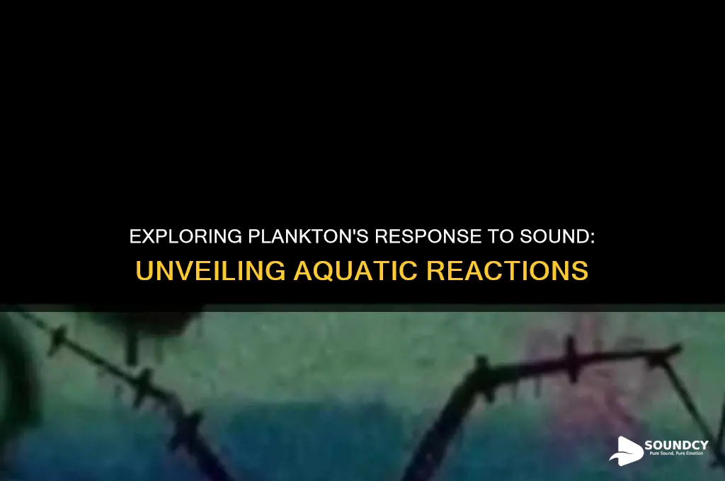 does plankton react to sound