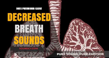 Pneumonia's Impact: Decreased Breath Sounds