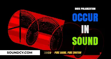 Exploring Sound Polarization: Does It Occur and How Does It Work?