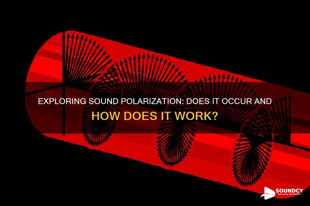 does polarization occur in sound