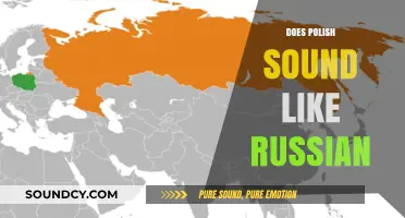 Does Polish Sound Like Russian? Exploring Linguistic Similarities and Differences