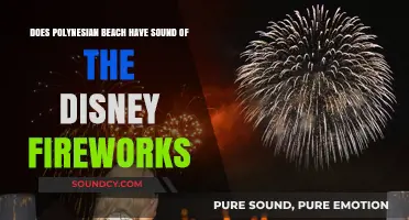 Can You Hear Disney Fireworks from Polynesian Beach?