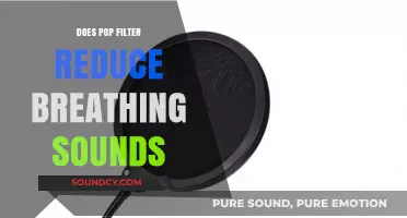 Pop Filters: Reducing Breath Sounds for Clear Recordings