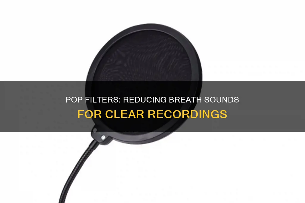 does pop filter reduce breathing sounds