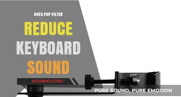 How Pop Filters Reduce Keyboard Noise