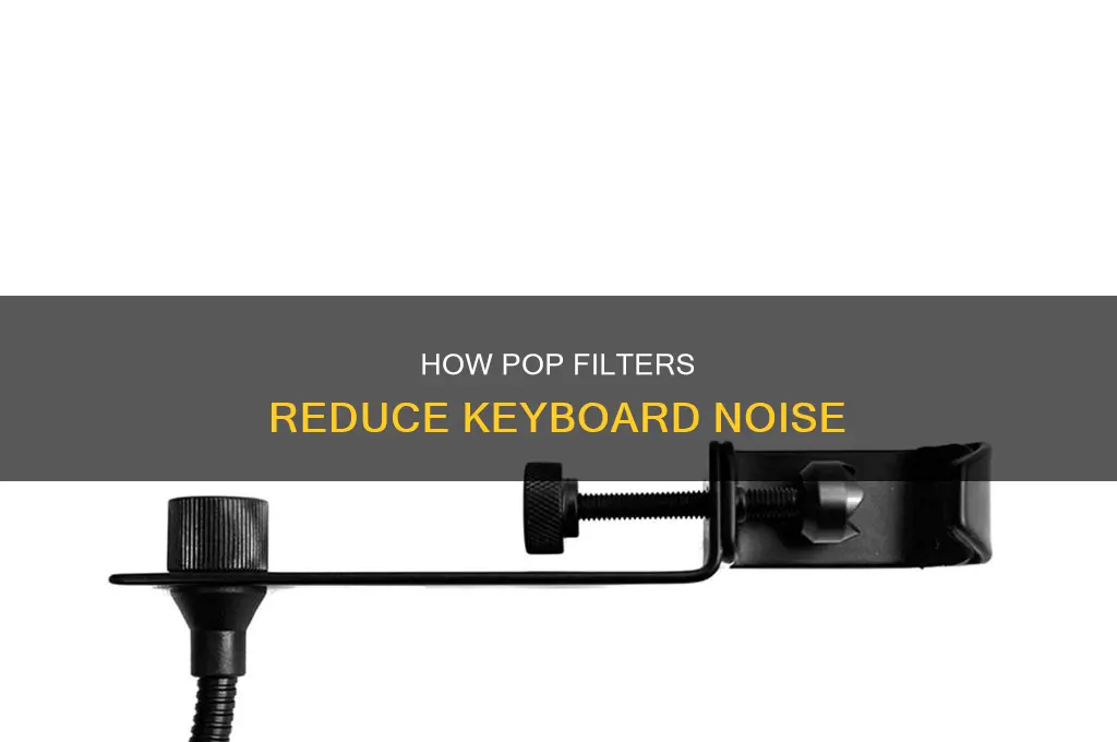 does pop filter reduce keyboard sound