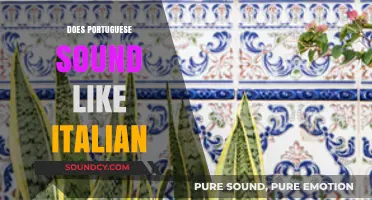 Does Portuguese Sound Like Italian? Exploring the Romance Language Connection