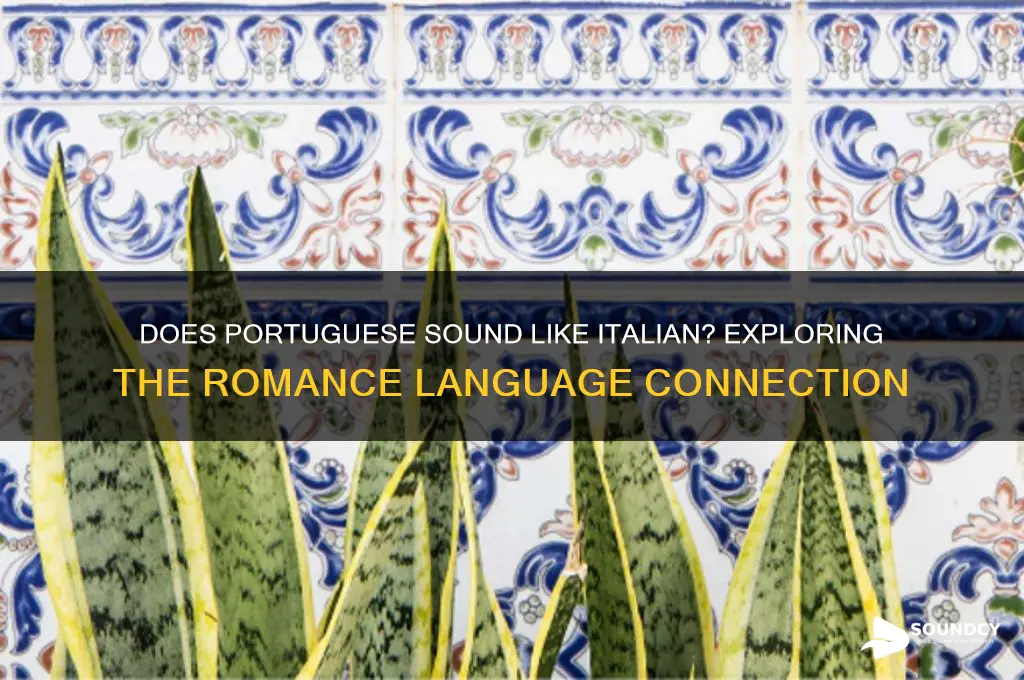 does portuguese sound like italian