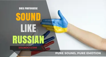 Portuguese vs. Russian: Unraveling the Linguistic Similarities and Differences