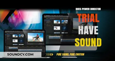 PowerDirector Trial: Sound Included?