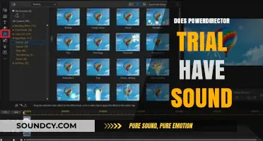 Does PowerDirector Trial Include Audio Features? A Quick Guide