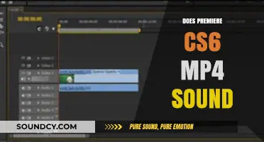Does Premiere CS6 Support MP4 Audio? A Comprehensive Guide