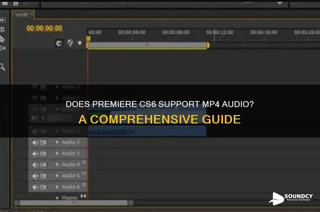 does premiere cs6 mp4 sound