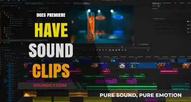 Does Premiere Pro Include Sound Clips? A Quick Guide