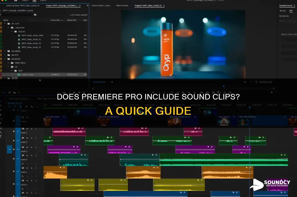 does premiere have sound clips