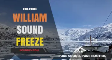 Does Prince William Sound Freeze? Exploring Alaska's Winter Waters