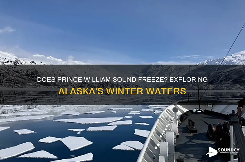 does prince william sound freeze