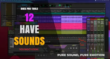 Pro Tools 12: Sounds or Silence?